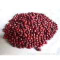 /msite/products/detail/productid/56948807/id/645581.html